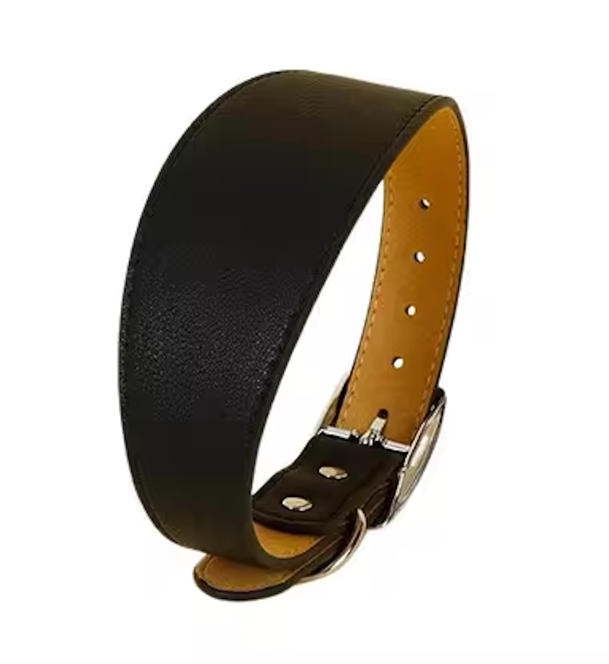 dog collars