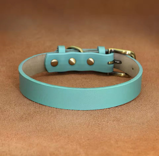 Urban Chic Collar Turquoise