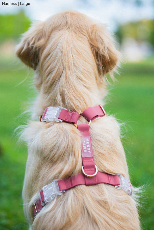 Mulberry Burgundy Ultra Lightweight Cloud Lite Harness with No-Pull Design