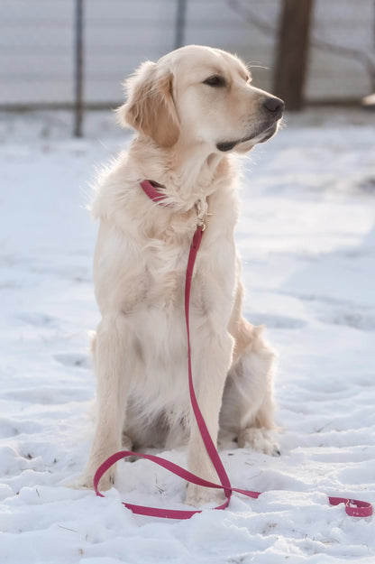 Ultra Lightweight Burgundy Cloud Dog Leash - All-Weatherproof & Odor-Resistant