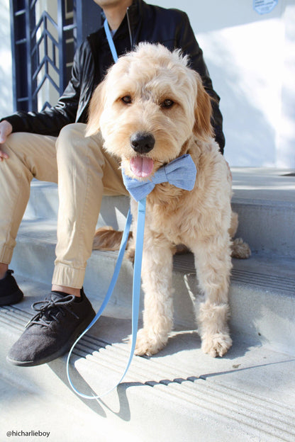 Ultra Lightweight Malibu Blue Cloud Dog Leash - All-Weatherproof & Odor-Resistant