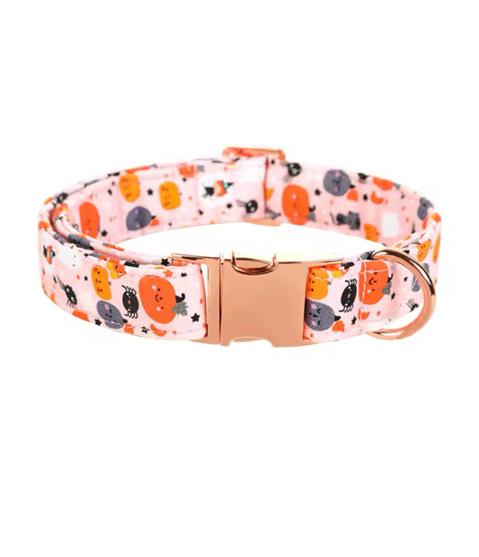 Sweet Pumpkin Collar