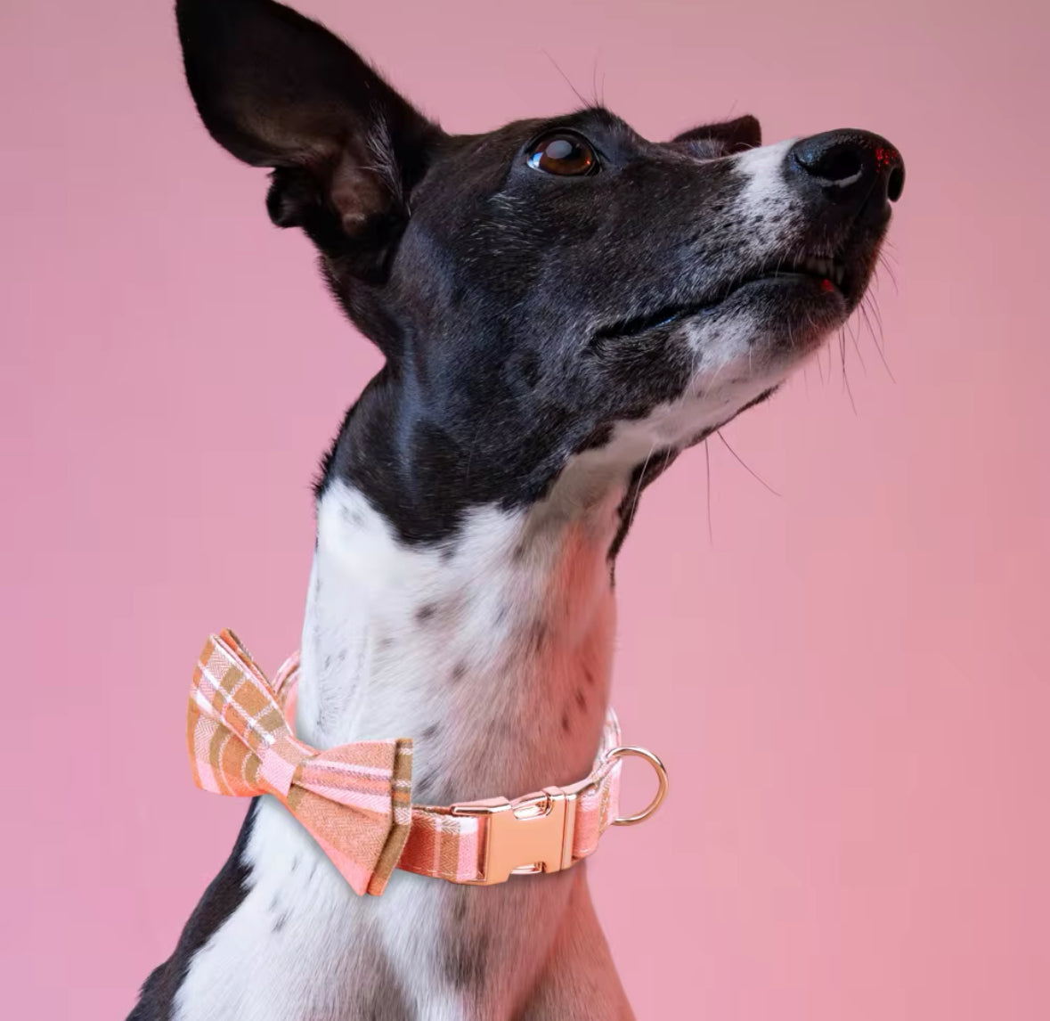 Brookside Rose Tweed Bow Tie