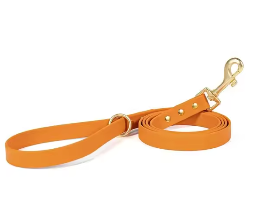 Puddle-Proof Pup Leash