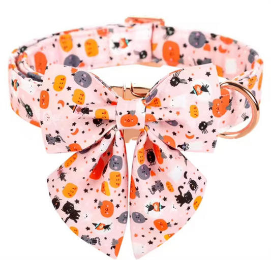 Sweet Pumpkin Collar & Sailor Bow