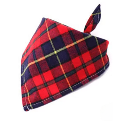 Saratoga Springs Plaid Bandana