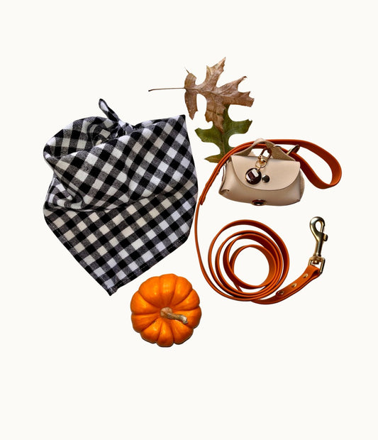 Lake Placid Buffalo Plaid Bandana + Orange Leash Set