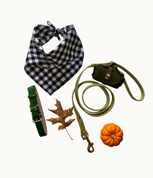 Lake Placid Buffalo Plaid Bandana + Green Leash Set