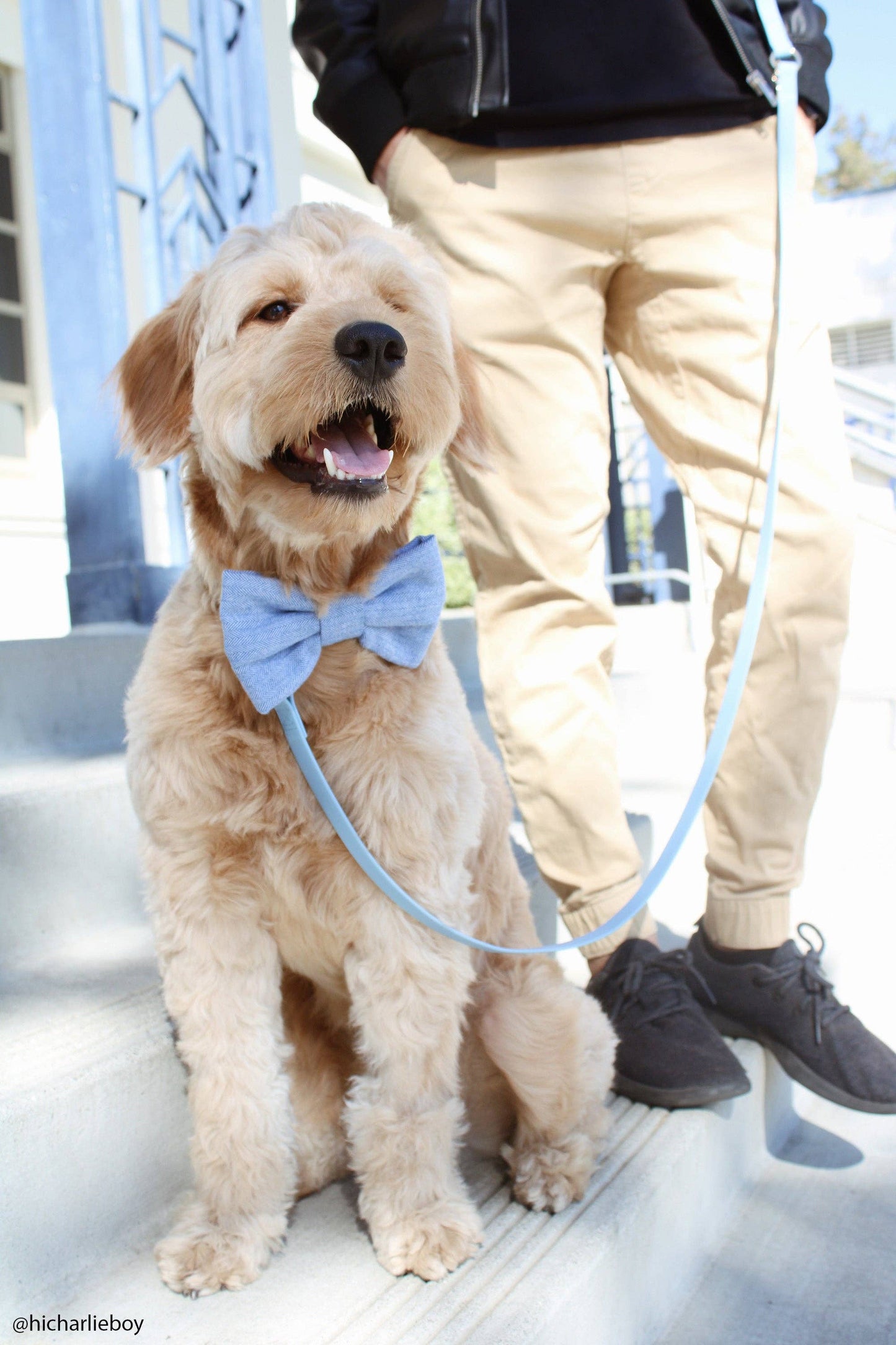 Ultra Lightweight Malibu Blue Cloud Dog Leash - All-Weatherproof & Odor-Resistant