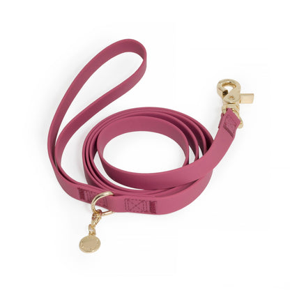 Ultra Lightweight Burgundy Cloud Dog Leash - All-Weatherproof & Odor-Resistant