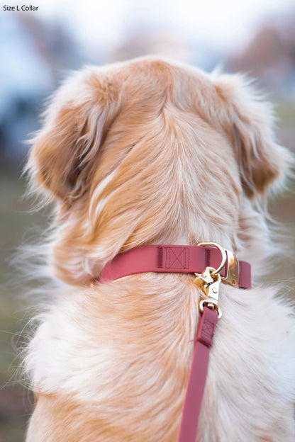 Ultra Lightweight Burgundy Cloud Dog Leash - All-Weatherproof & Odor-Resistant