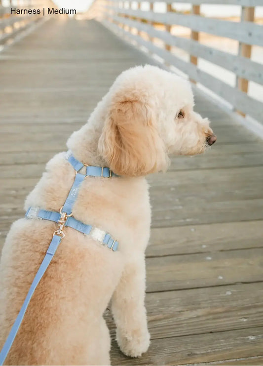 Malibu Blue Ultra Lightweight Cloud Lite Harness with No-Pull Design